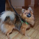 Foto 2016 1416060092