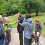 Foto 2017 1552854554