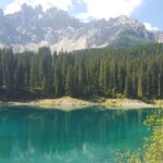 Foto 2017 2011575170