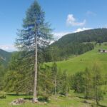 Foto 2017 3724270059