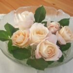 Foto 2017 3567585255