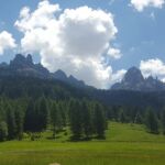 Foto 2017 2302649758