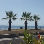 Foto 2017 2046805563