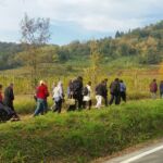 Foto 2017 2860800951