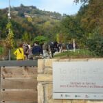 Foto 2017 3278968356