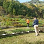 Foto 2017 1649400200