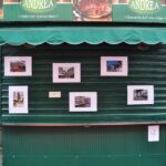 Foto 2016 3106095251