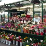 Foto 2016 3472358671