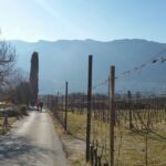 Foto 2018 3528364866