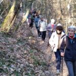 Foto 2018 3173949582