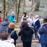 Foto 2018 3452128081