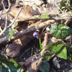 Foto 2018 3392990982