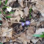 Foto 2018 1733235916