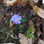 Foto 2018 3759189131