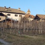 Foto 2018 3776724704