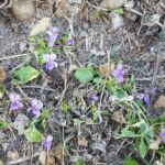 Foto 2018 1191526313