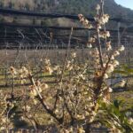 Foto 2018 1175039426