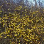 Foto 2018 3243644293