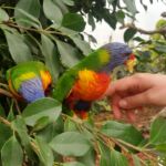 Foto 2018 2913231345