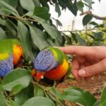 Foto 2018 2377747052