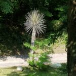 Foto 2018 306768709