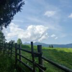 Foto 2018 1003253070