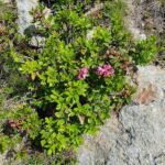 Foto 2018 1858978873