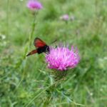 Foto 2018 2928104584