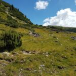 Foto 2018 3418211816