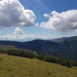 Foto 2018 3526229149