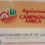 Foto 2018 3453961750