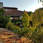 Foto 2018 2071459976