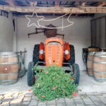 Foto 2018 1193615119