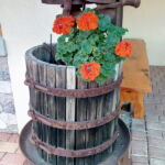 Foto 2018 2472266698