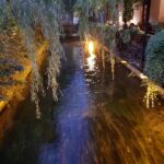 Foto 2018 2567106293