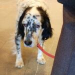 Foto 2019 3786923697