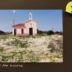 Foto 2019 2845190328