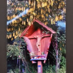 Foto 2019 2961246485