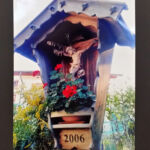 Foto 2019 2430486315