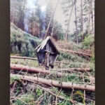 Foto 2019 4020837522