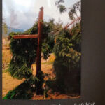 Foto 2019 1689929838