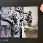 Foto 2019 1155860048