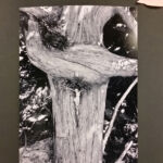 Foto 2019 4207637937