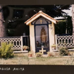 Foto 2019 1084287629