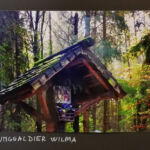 Foto 2019 4183532266