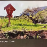 Foto 2019 1724095563