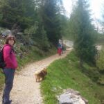 Foto 2019 2803462490