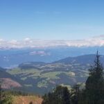 Foto 2019 2737107534