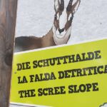 Foto 2019 3085780774