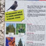 Foto 2019 4206908521